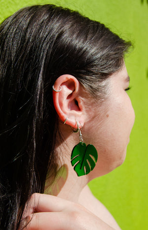 Monstera Dangles 1